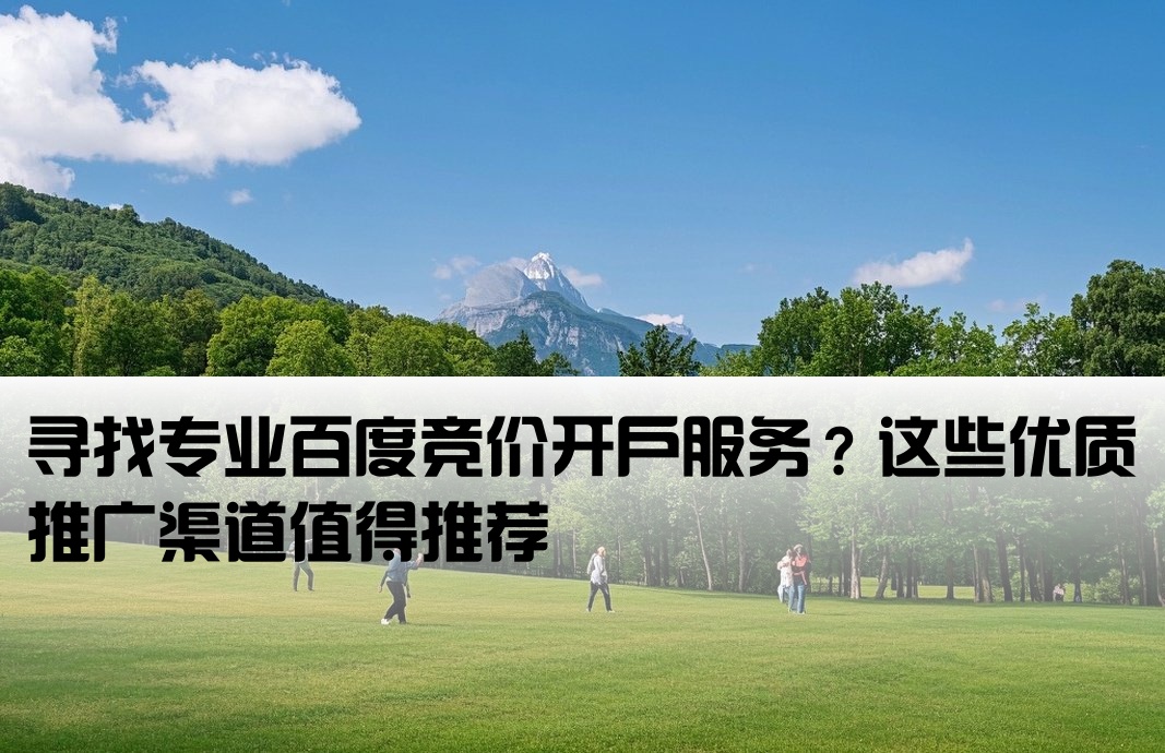 百度竞价开户找谁推广的好