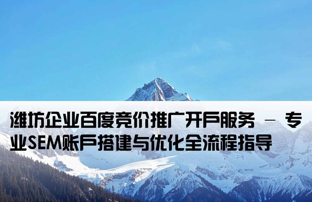 潍坊百度竞价推广开户sem