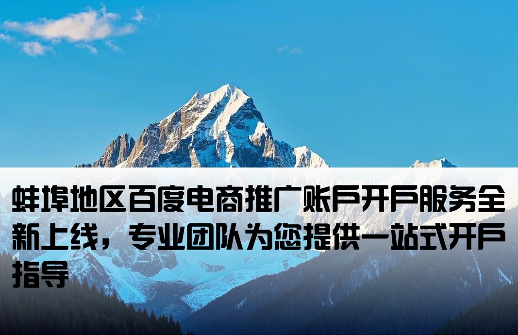 蚌埠百度电商端口户开户