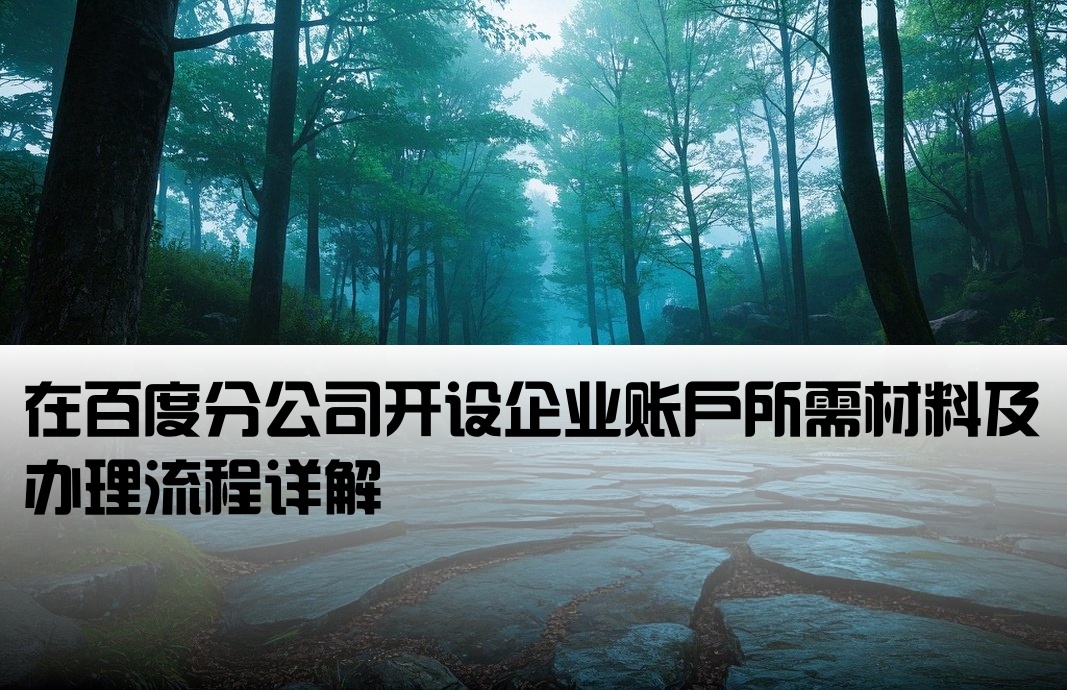 百度分公司开户需要什么