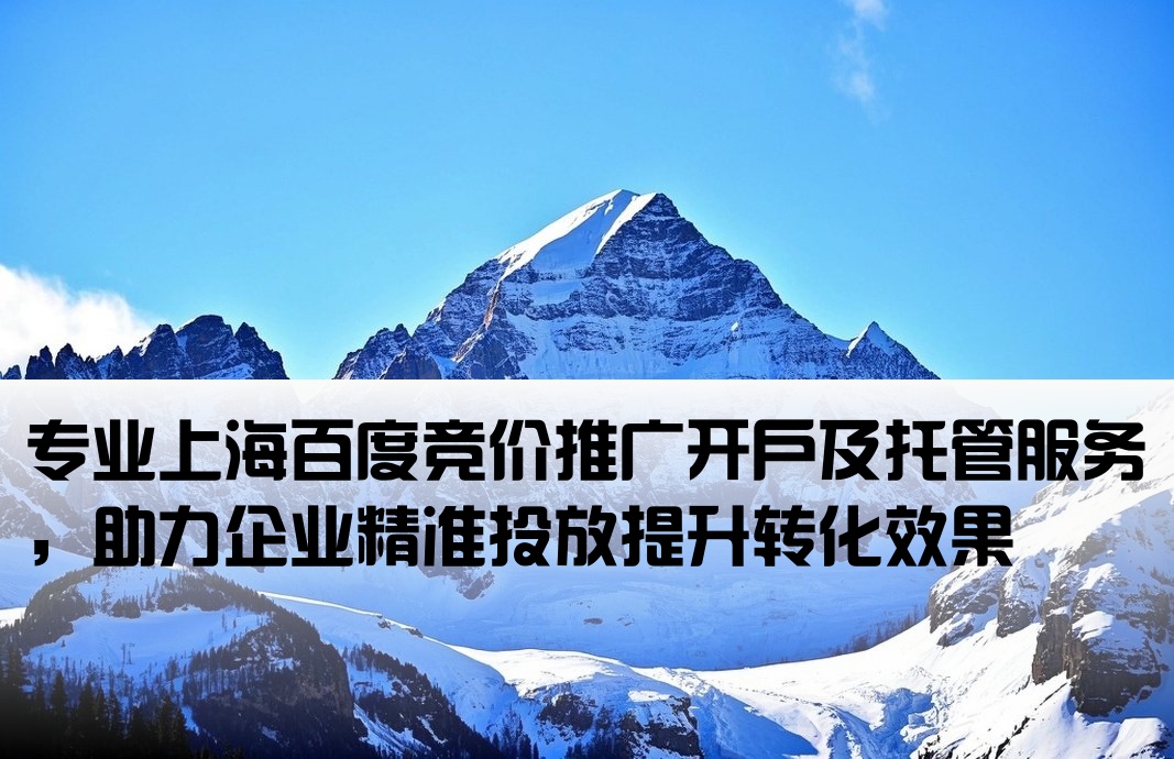 上海百度竞价推广开户托管