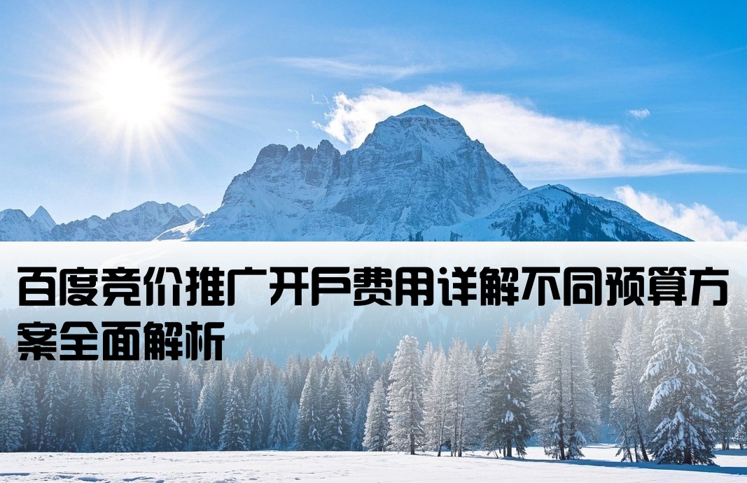百度竞价开户必须多少钱