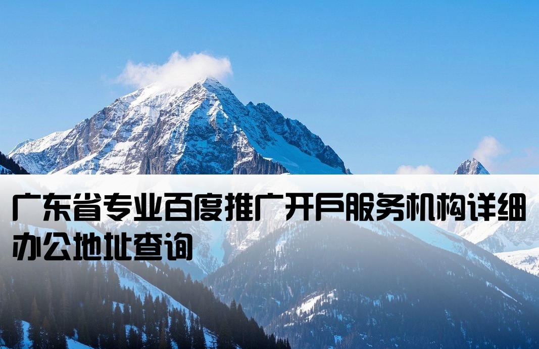 广东正规百度开户公司地址