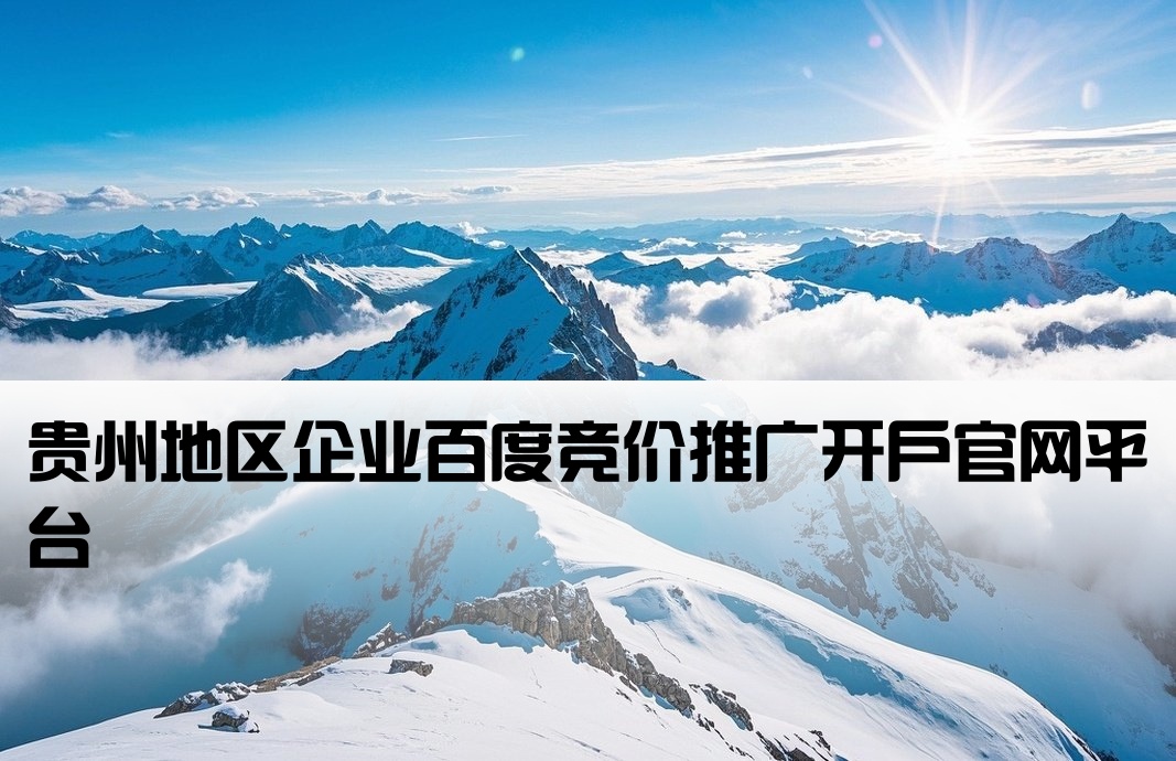 贵州省百度竞价开户网站