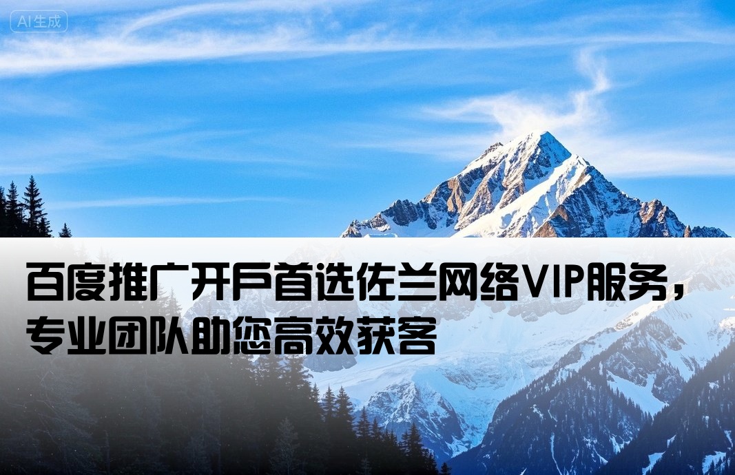 百度开户优选佐兰网络vip