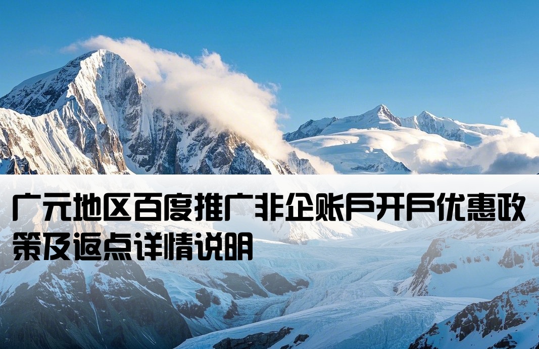 广元百度非企返点开户