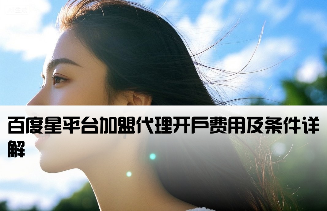 百度加盟星平台开户多少钱